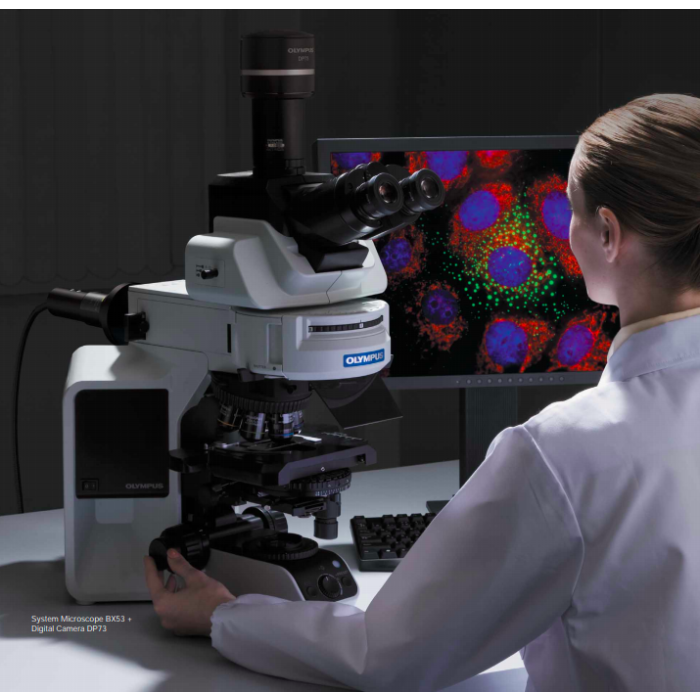 Olympus BX53 Upright Microscope