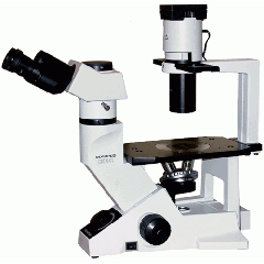 Olympus CKX41