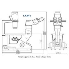 Olympus CKX41