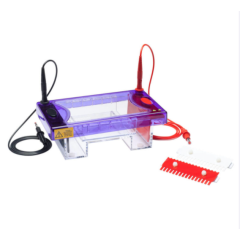electrophoresis multi sub midi set cleaver